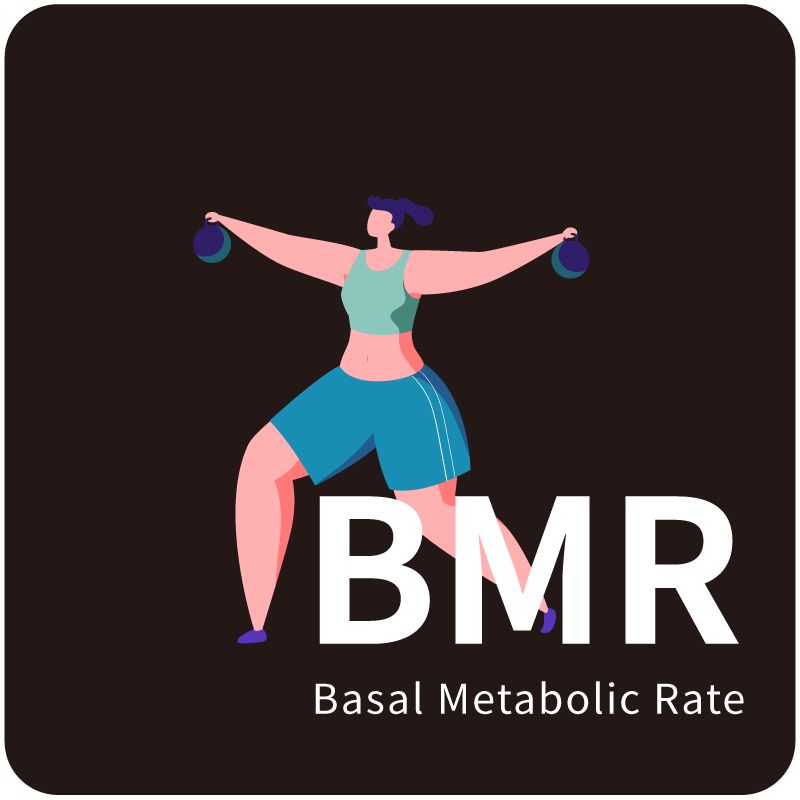 BMR（基礎代謝率）