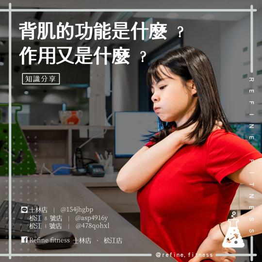背肌的功能是什麼？