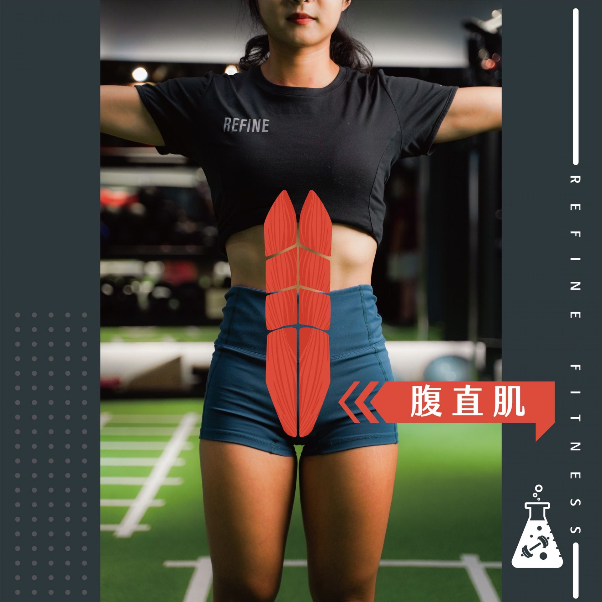 腹直肌