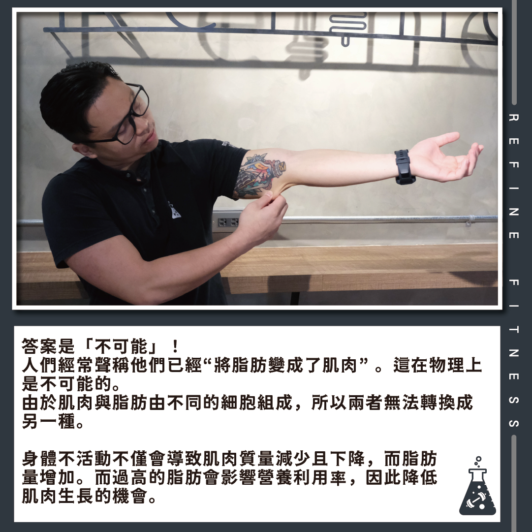 脂肪無法變成肌肉