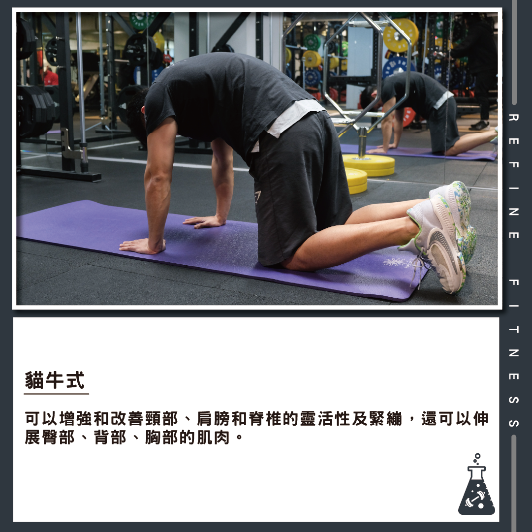 貓牛式伸展運動