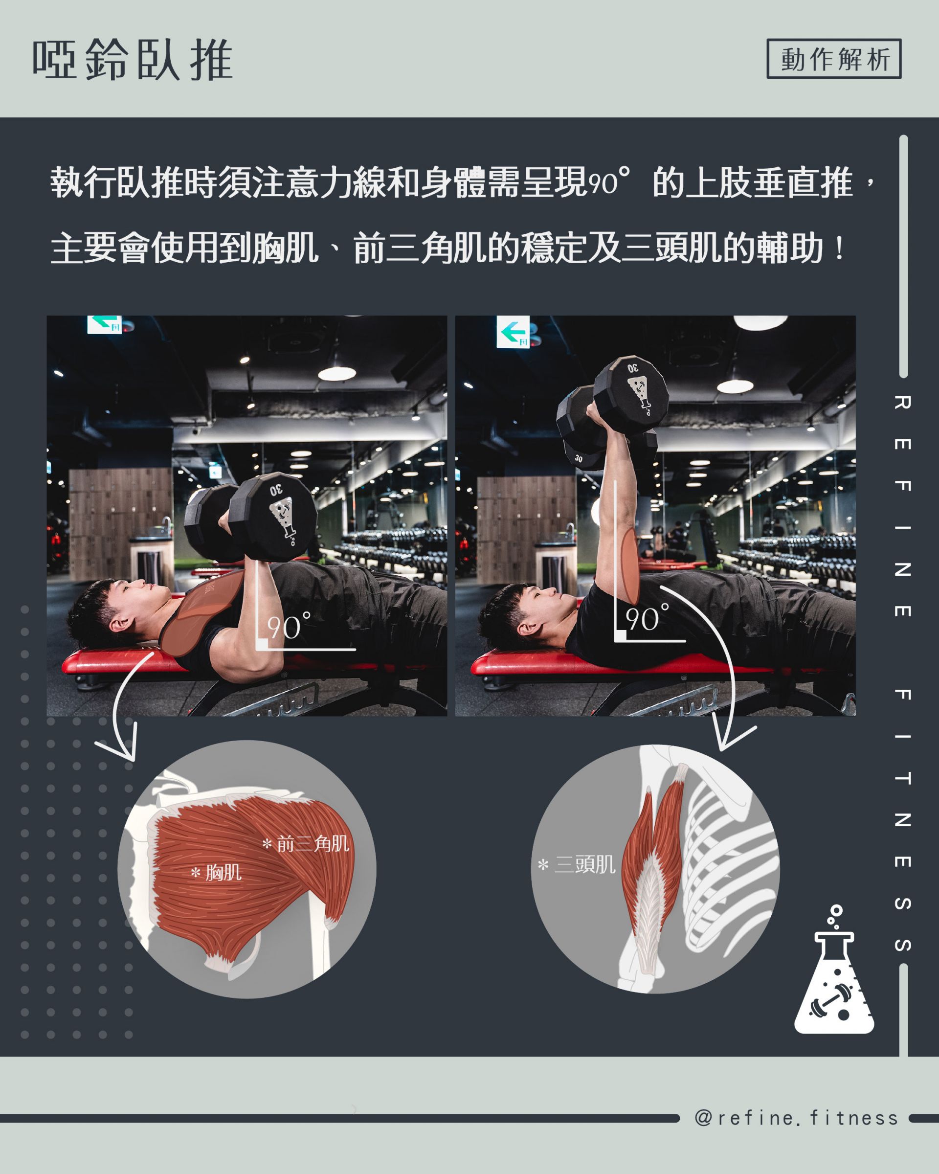 啞鈴握推動作解析